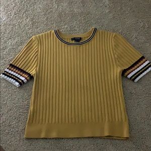 Gold Striped Crop Top